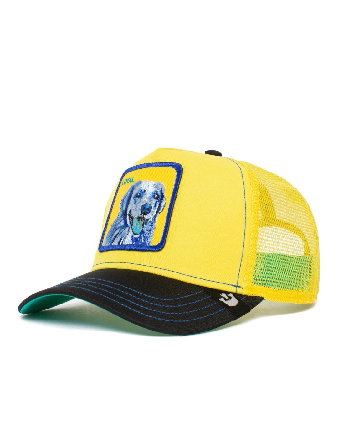 Casquette The Doggy Trip Jaune - 101-1037-YEL 2/5