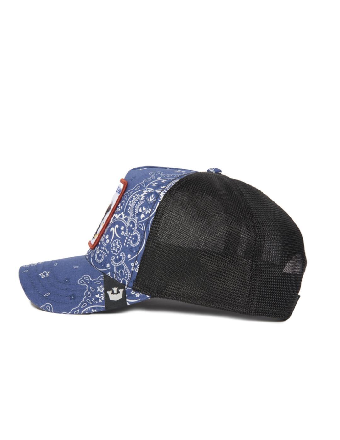 Bonnet Goorin Bros Le w dans un d Marin 4/5