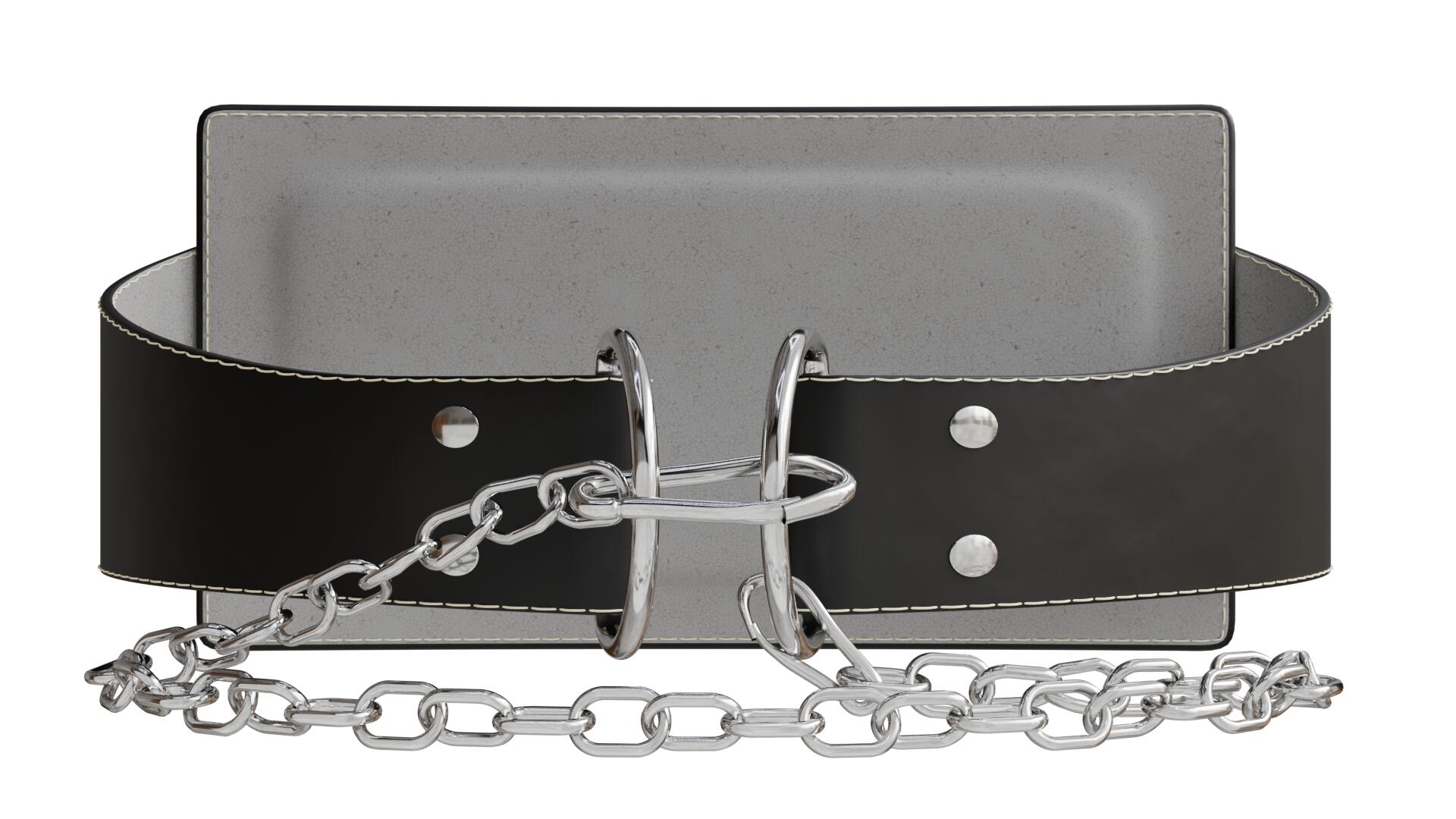 Focus Fitness - Dipping Belt - Weight Belt - Gewichtriem 3/7