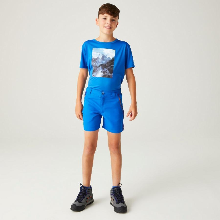 Shorts für Kinder Regatta Sorcer Mountain III 7/7