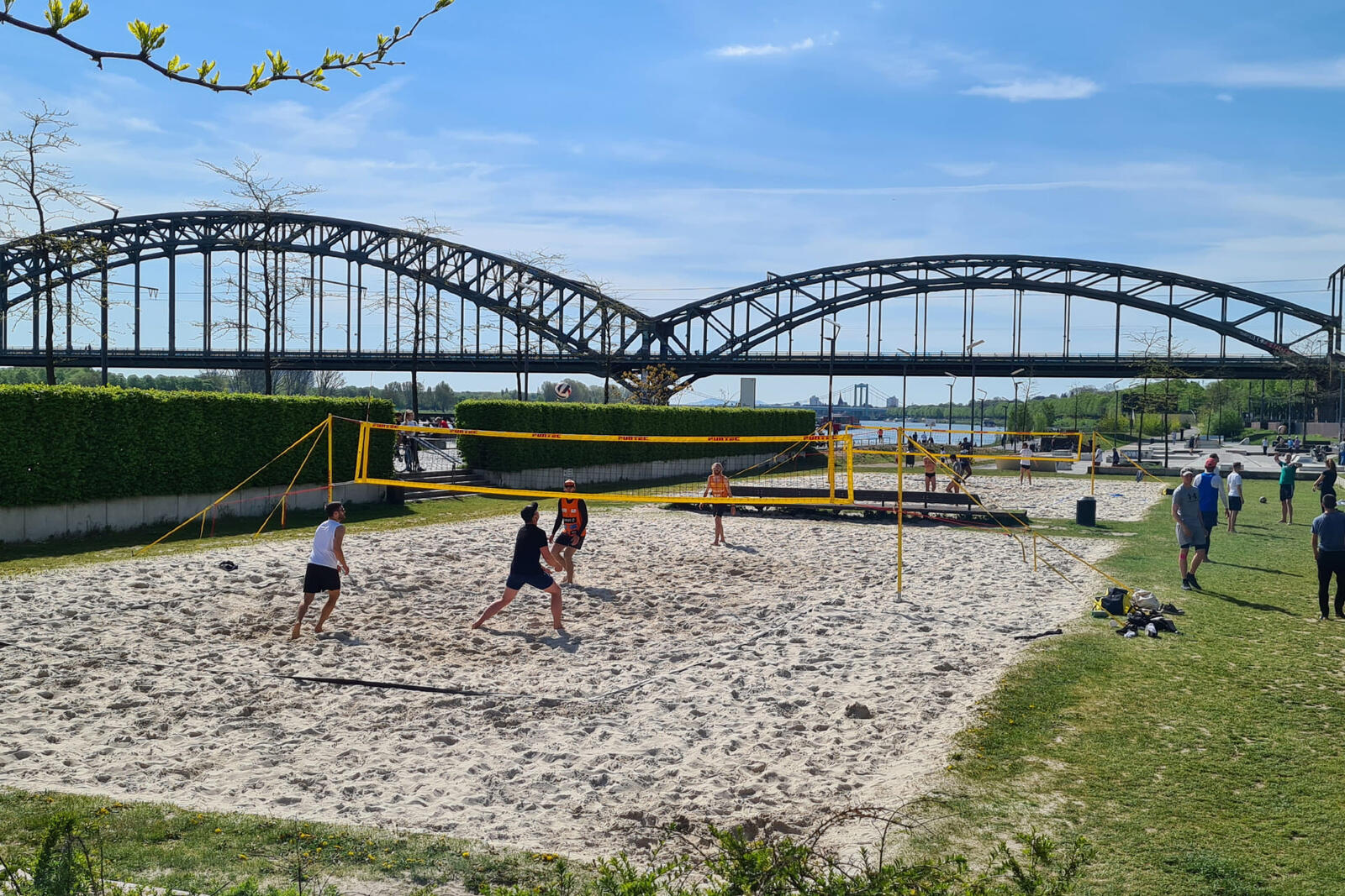 Zestaw Do Siatkówki Plażowej Funtec Beach Champ Set 7/7
