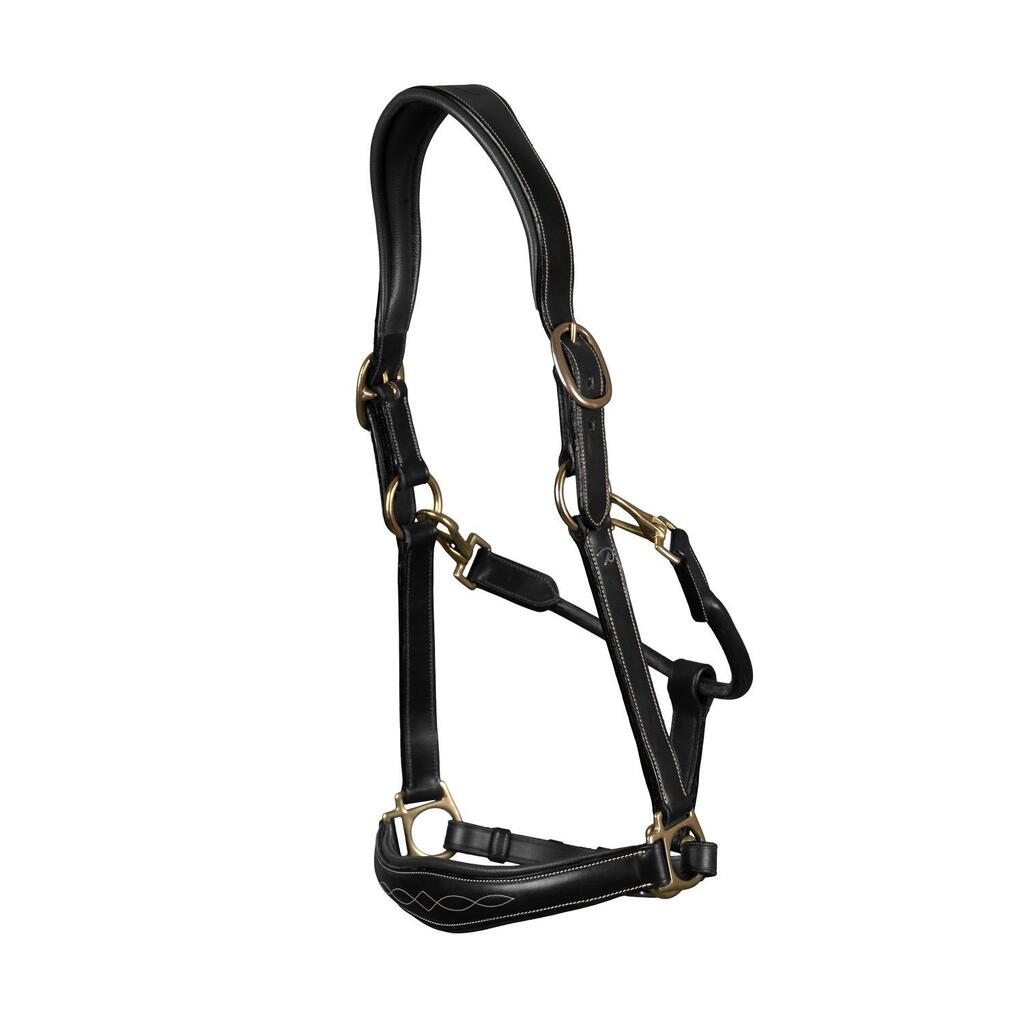 Leather halter for horses Dy'on