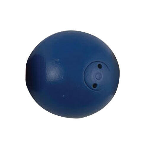 Regent 2KG Shot Puts Track & Field Training Equipment