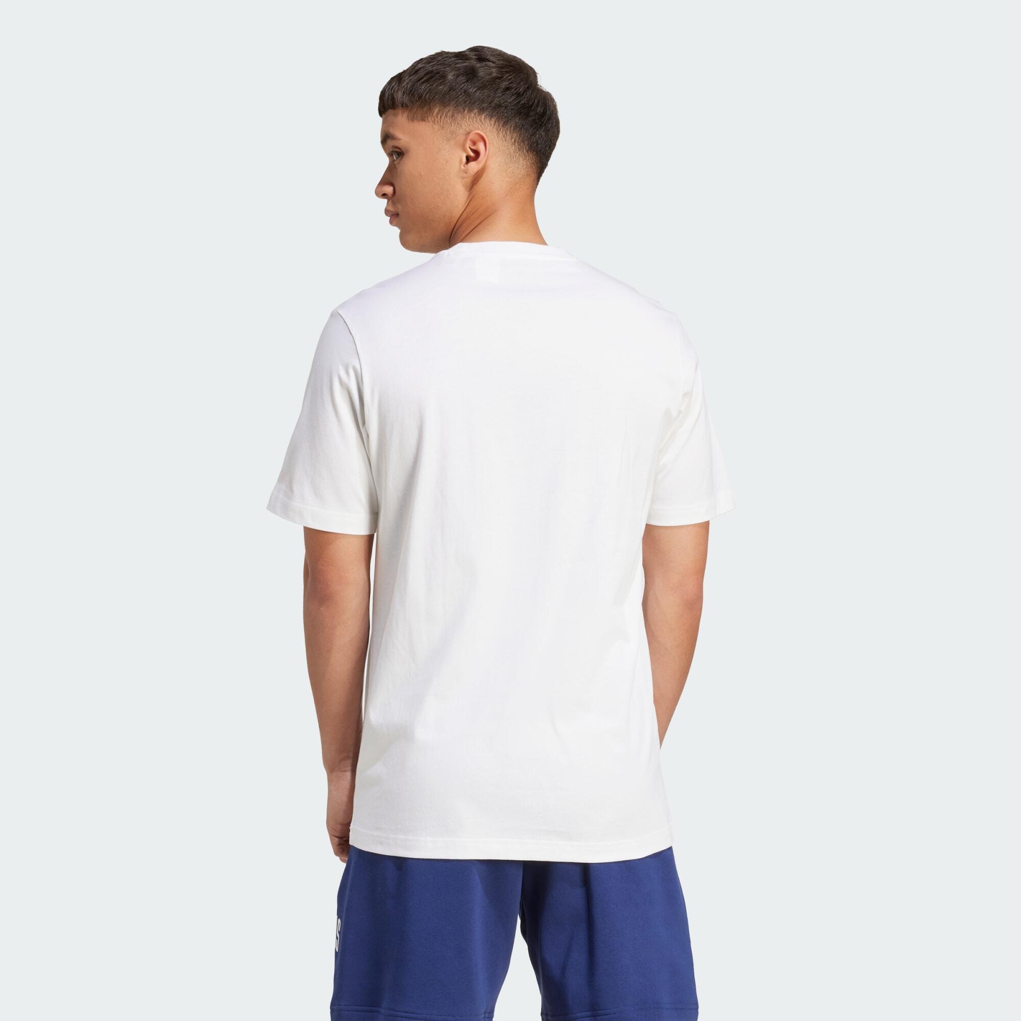 Camiseta estampada Collegiate Lineage 3/5