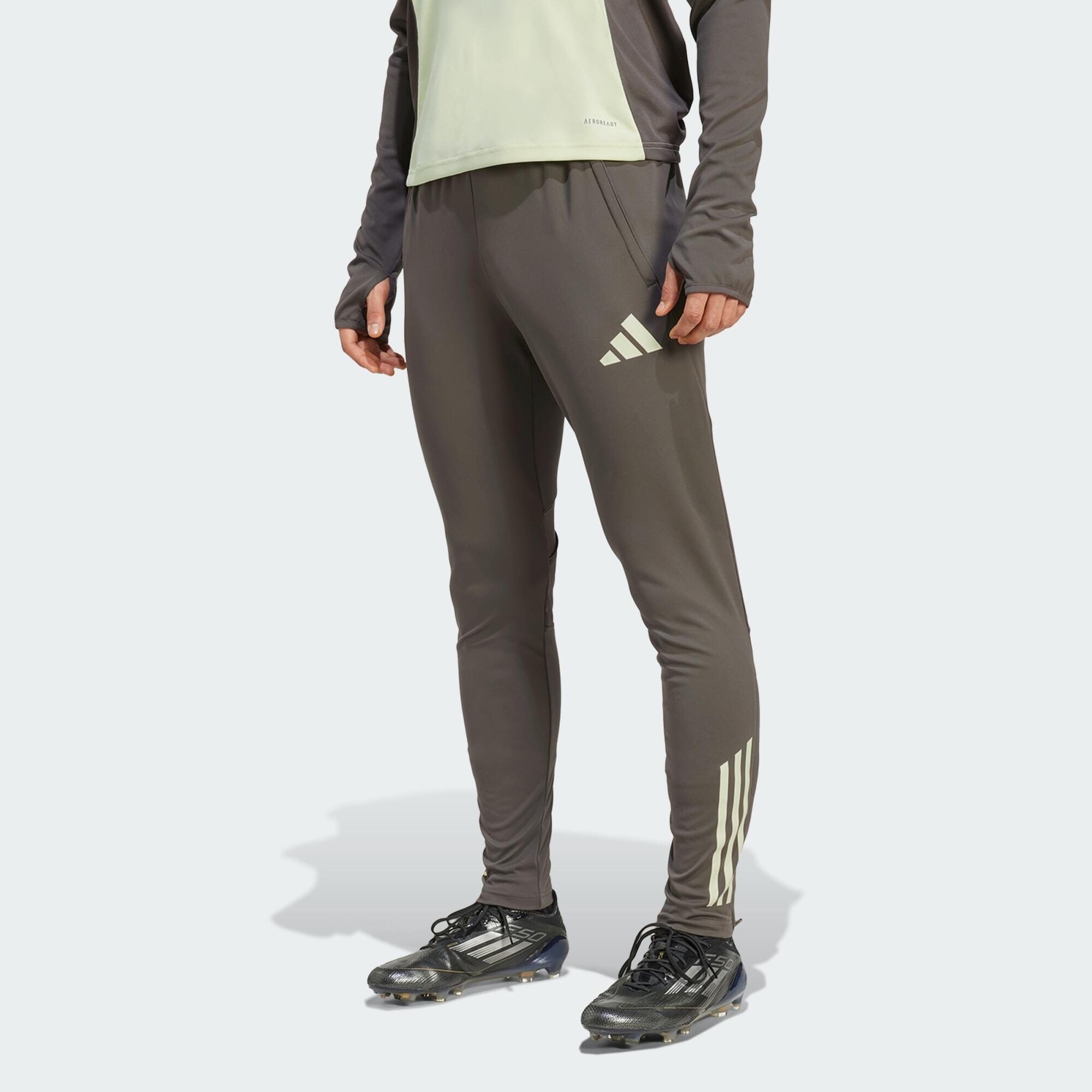 ADIDAS Pantaloni da allenamento Tiro 25 Competition Real Madrid