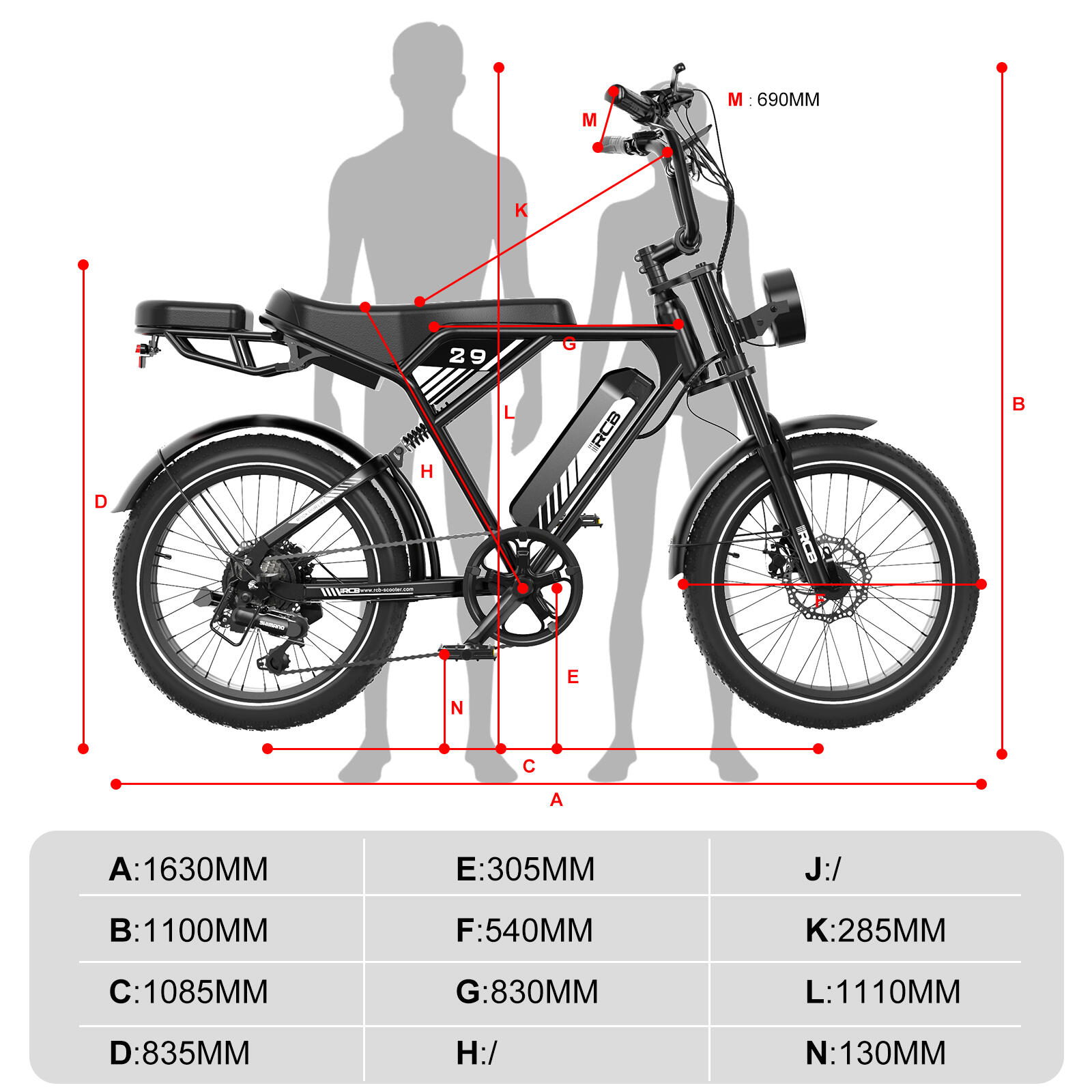 Bicicletta elettrica per adulti da 20"RCB-RK29 2/9