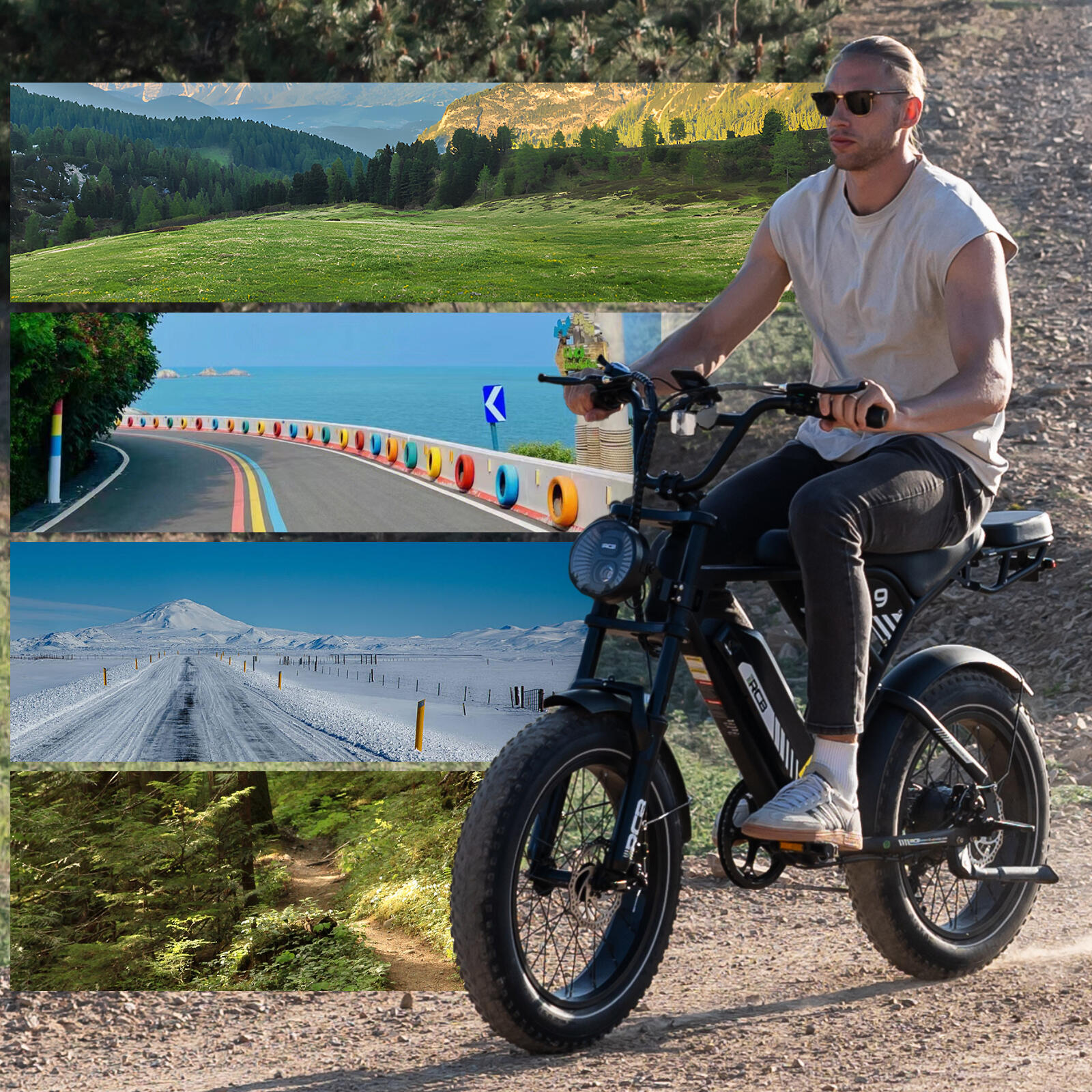 Bicicletta elettrica per adulti da 20"RCB-RK29 5/9