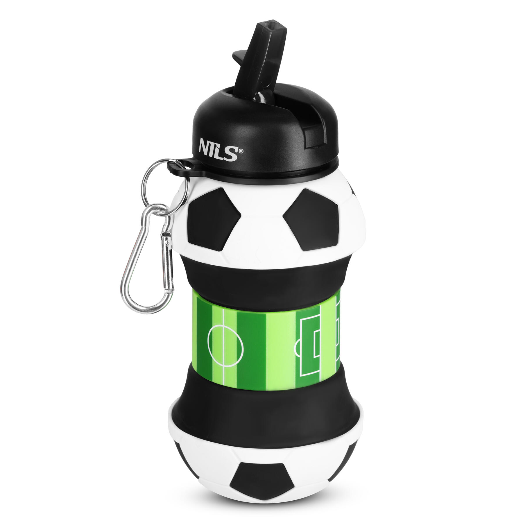 NILS picture