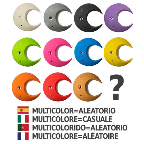 Prises d'escalade Shark taille L