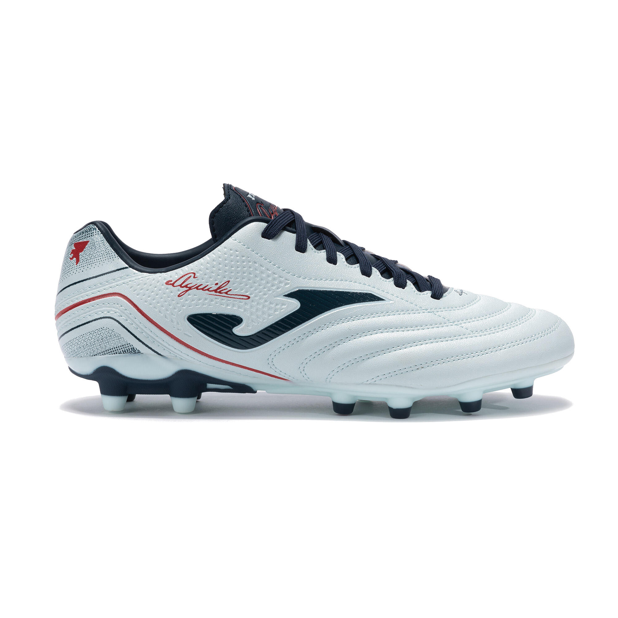 JOMA picture