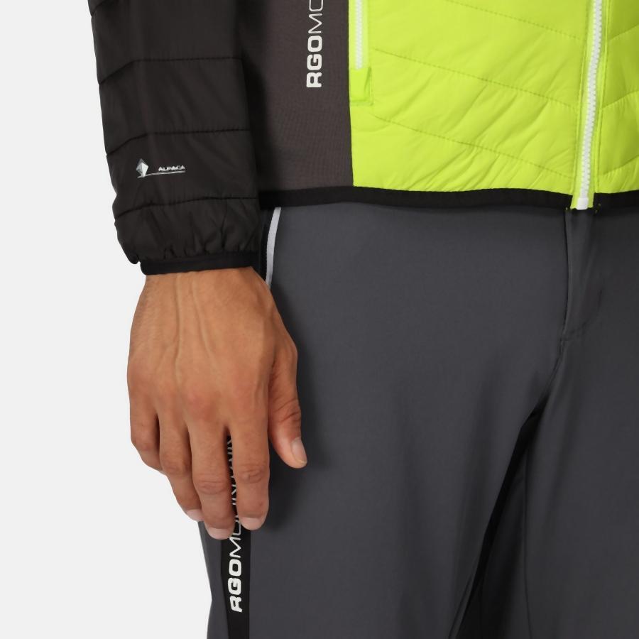 Hooded jacket Regatta Trutton 5/5