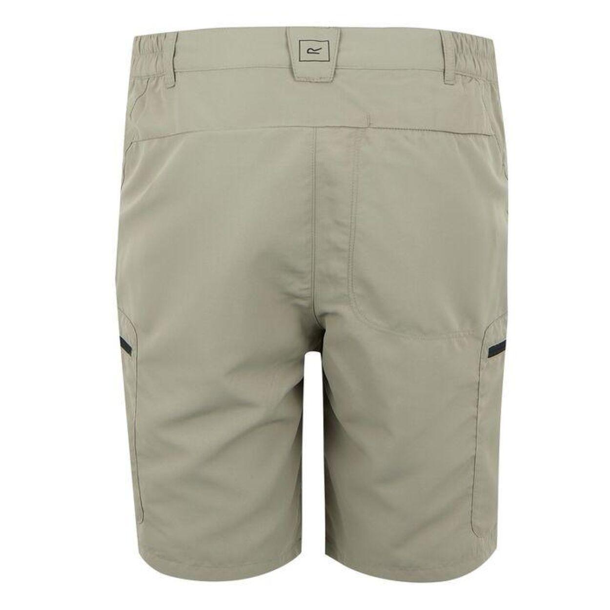 REGATTA Regatta Shorts LeesvilleShrtIII HEREN Golden Sand 3/3
