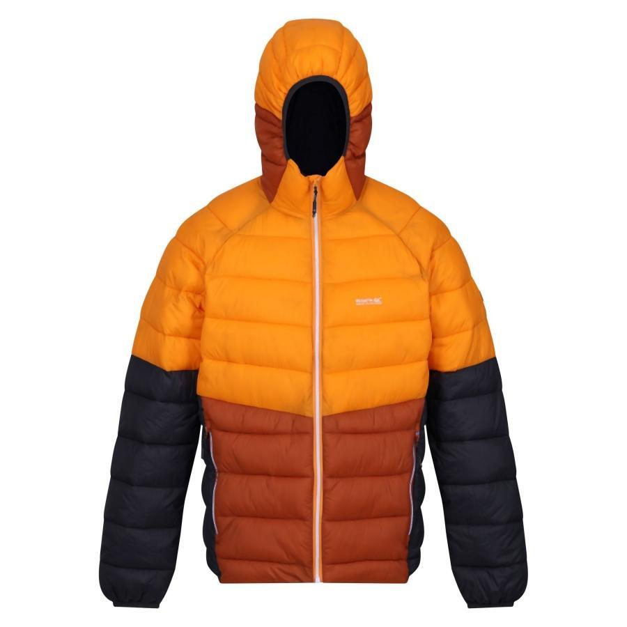 Regatta Harrock II Steppjacke / Winterjacke Herren mit Kapuze 7/7