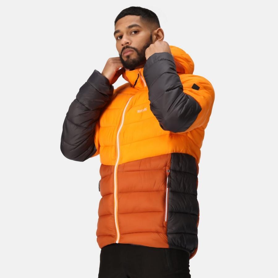 Regatta Harrock II Steppjacke / Winterjacke Herren mit Kapuze 6/7