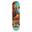 Skateboard  Tony Hawk 180 Series 7.75"  Golden Hawk