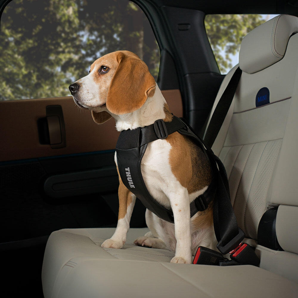 Harnais de voiture pour chien Thule Cappy noir 3/6