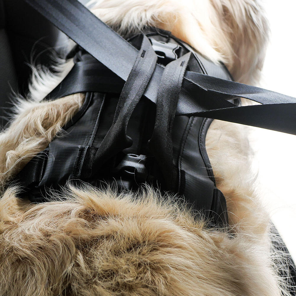 Harnais de voiture pour chien Thule Cappy noir 5/6