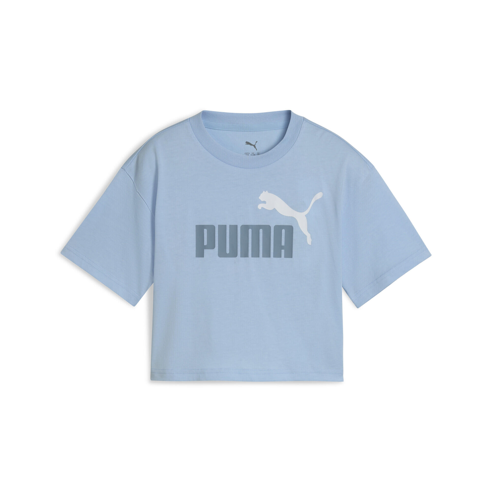 PUMA picture