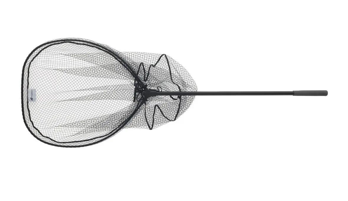 DAIWA picture