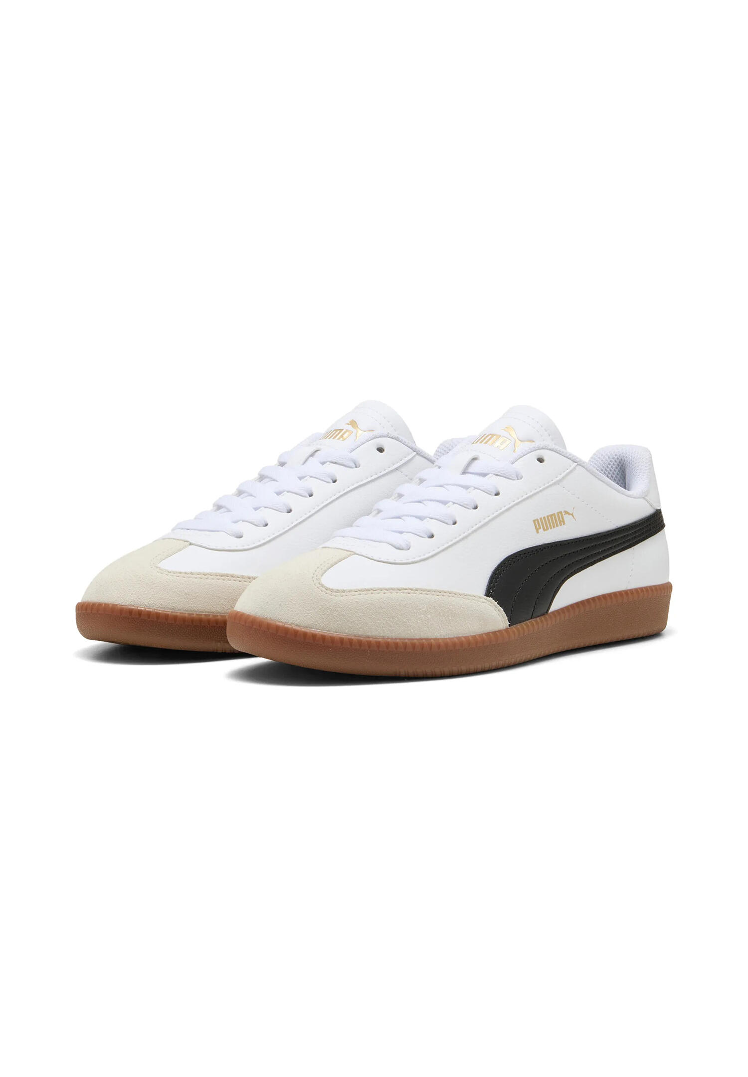 PUMA picture