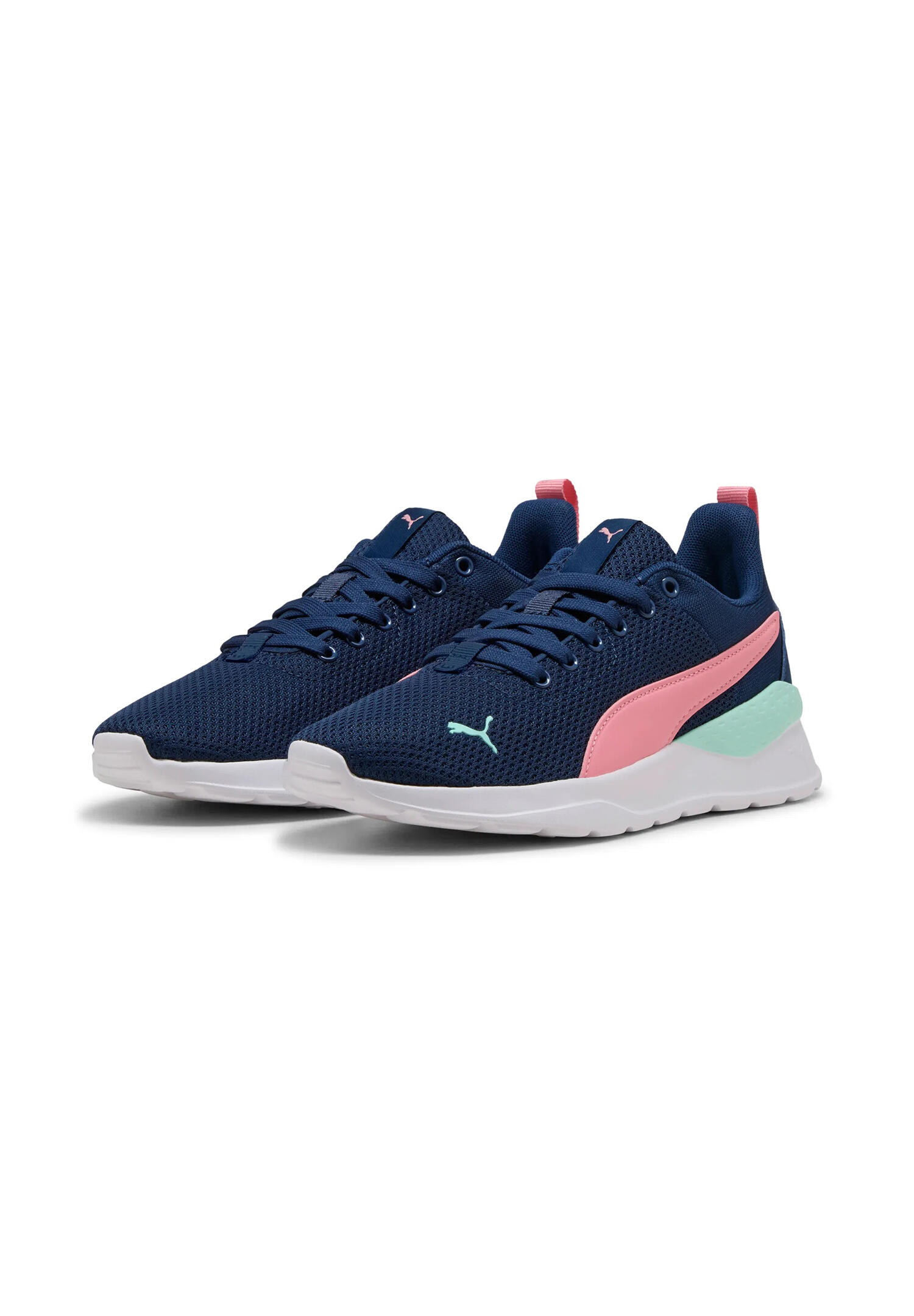PUMA picture