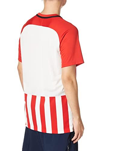 Nike Gestreepte Divisie III Korte Mouw Trui - Maat S 2/5