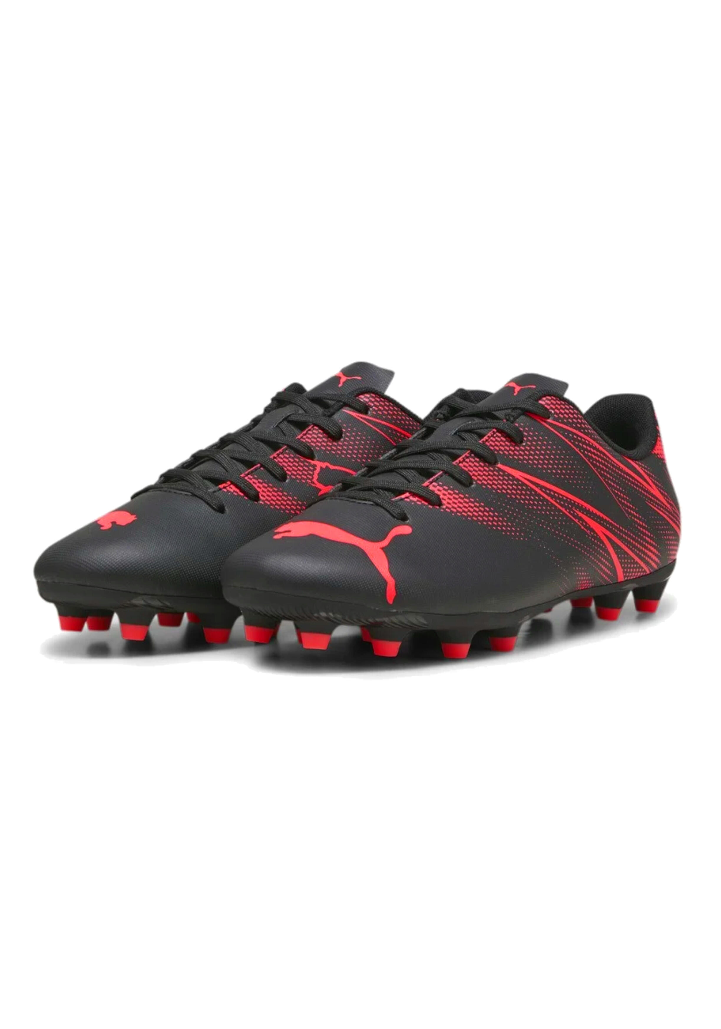 PUMA picture
