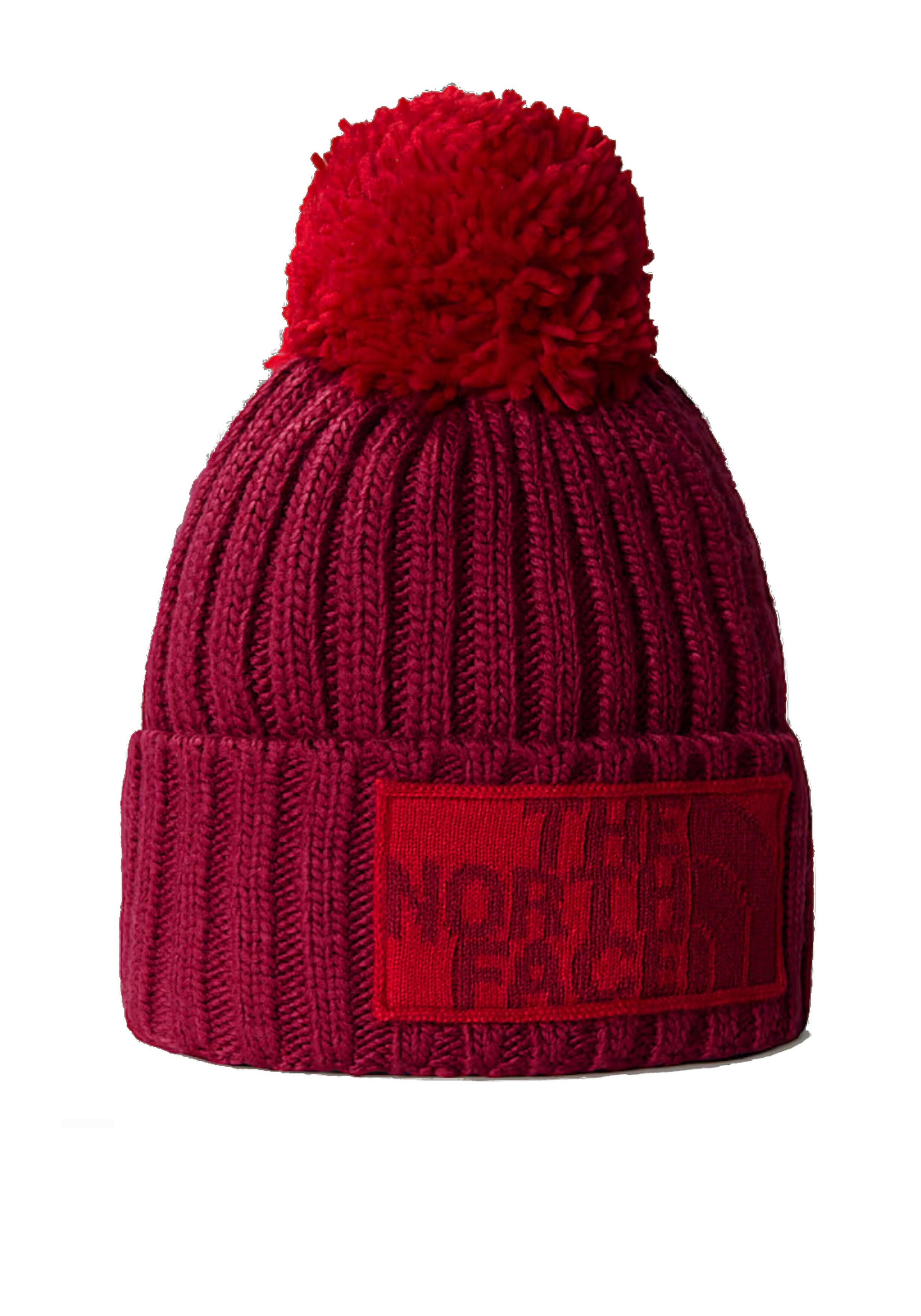THE NORTH FACE picture