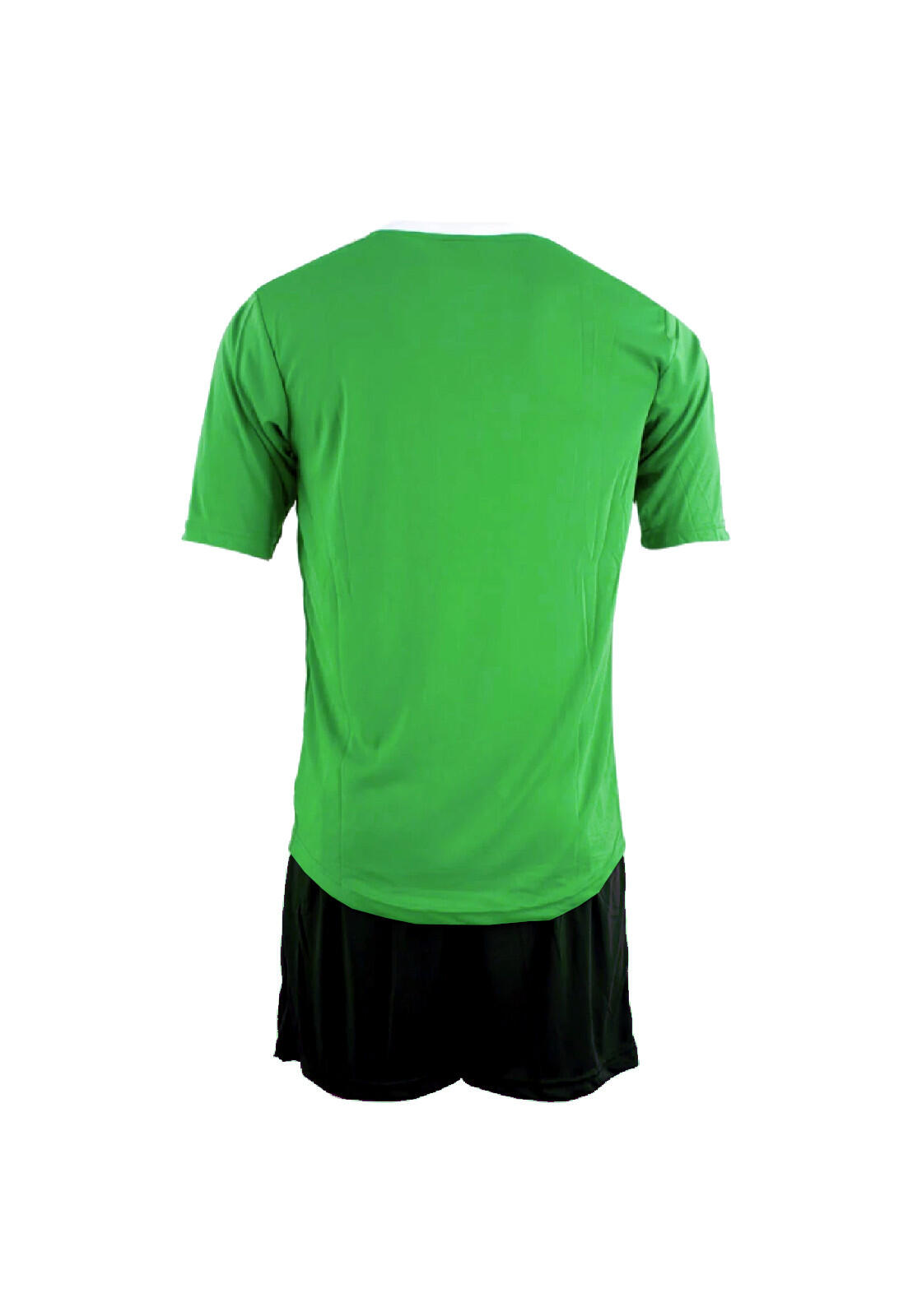 Voetbalshirt Düsseldorf 2/3