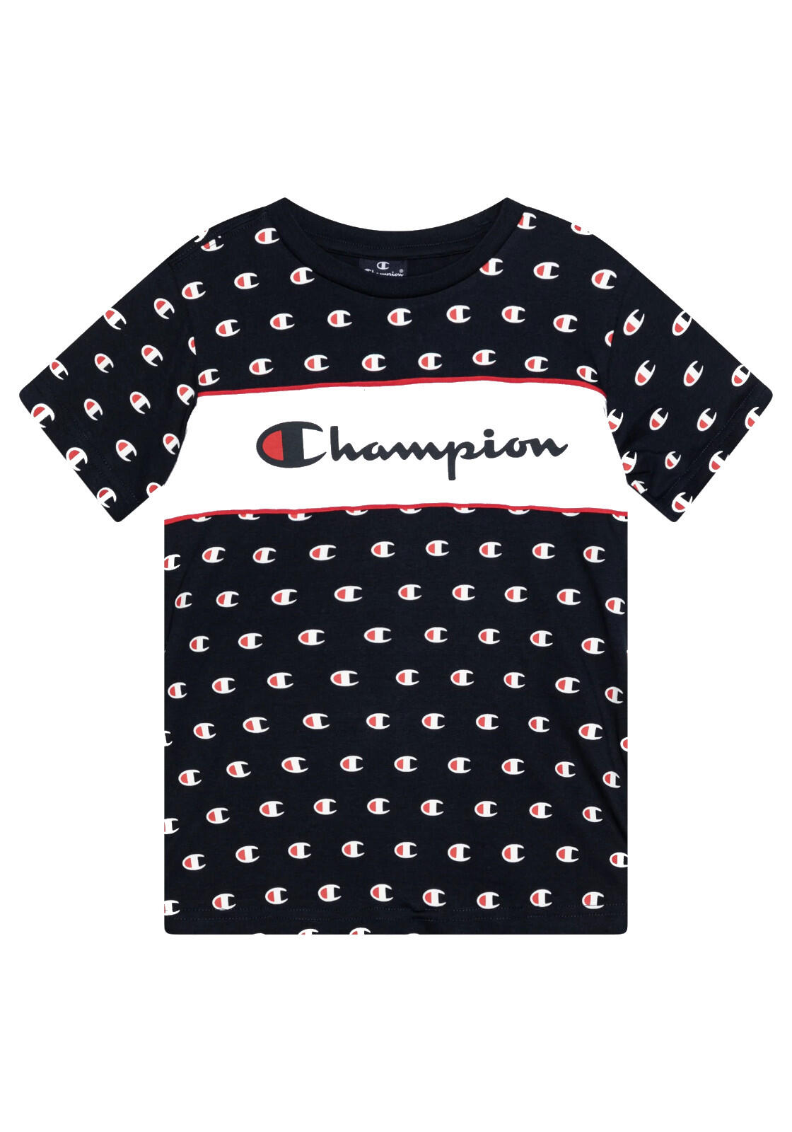 CHAMPION picture