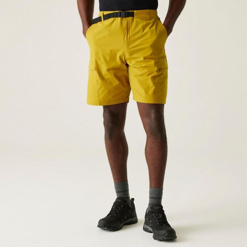 9505d0a2-1a6a-4b5f-ac0c-f2f726764328_c22