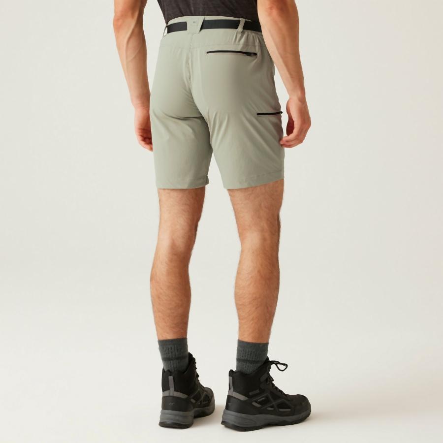 Shorts da trekking Regatta Xert III 4/6