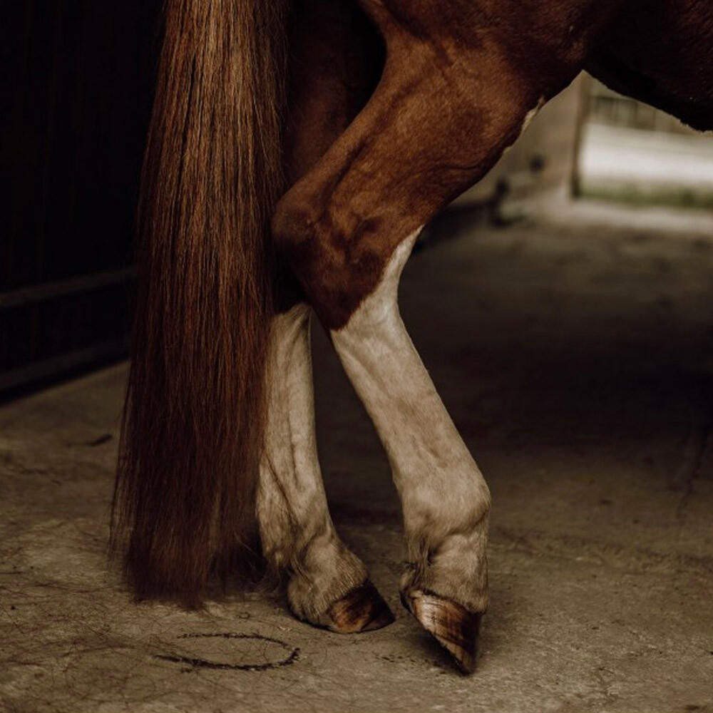 Éco-recharge démêlant crins cheval Nellumbo 1L 4/4
