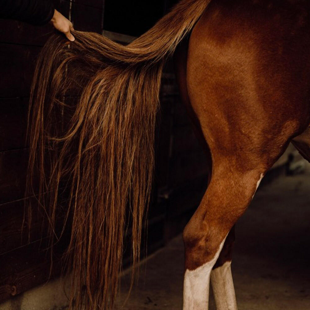 Éco-recharge démêlant crins cheval Nellumbo 1L 3/4
