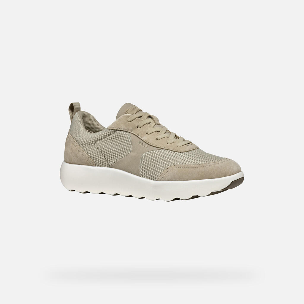 Baskets Homme U XTORS Beige 3/7