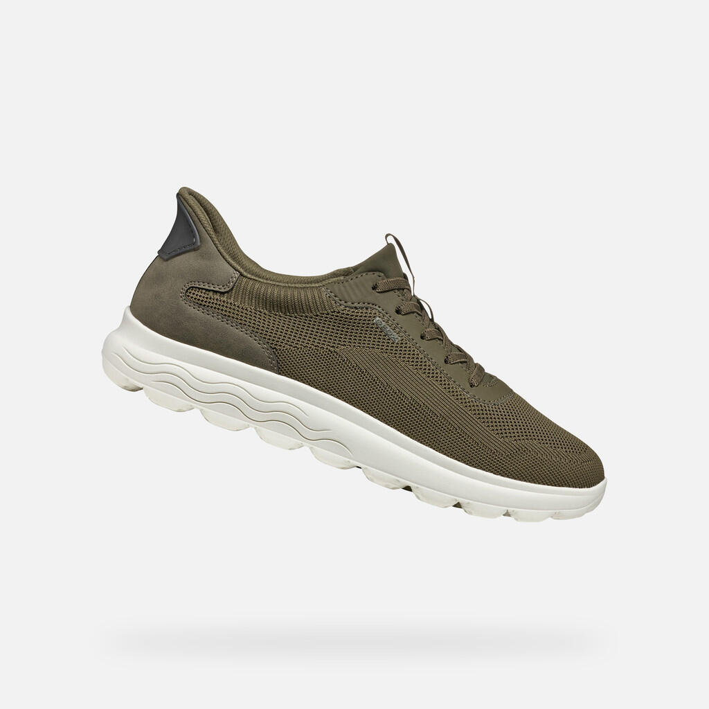 olive verte / vert