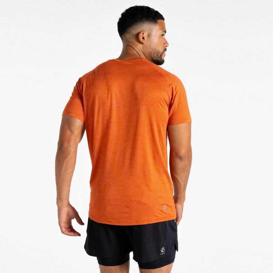Funktionsshirt feuchtigkeitsableitend schnelltrocknend Herren - Persist T-Shirt 4/4