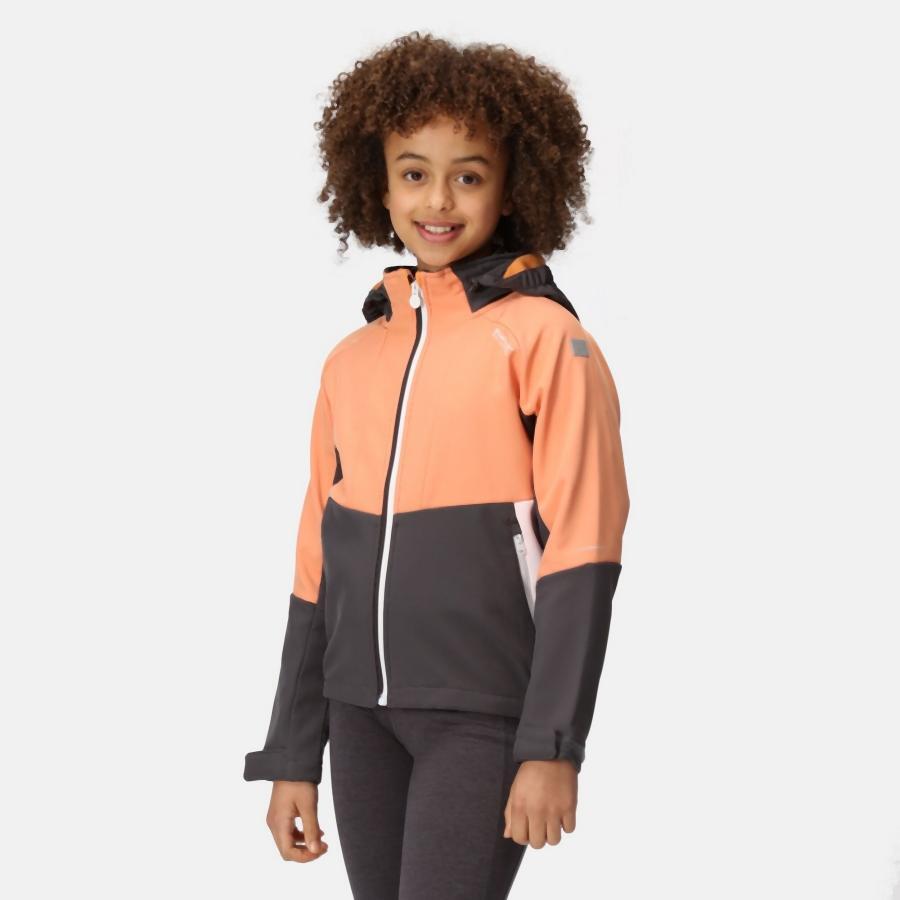 Veste de trekking Regatta Haydenbury pour enfants 3/7