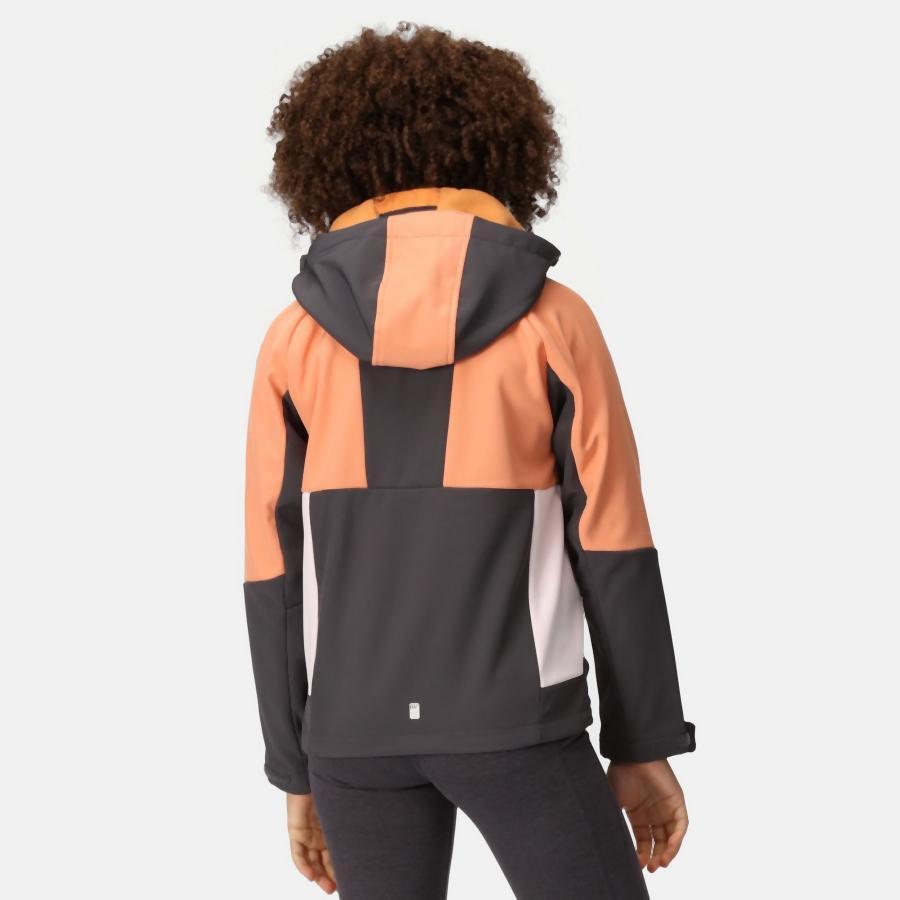 Veste de trekking Regatta Haydenbury pour enfants 6/7