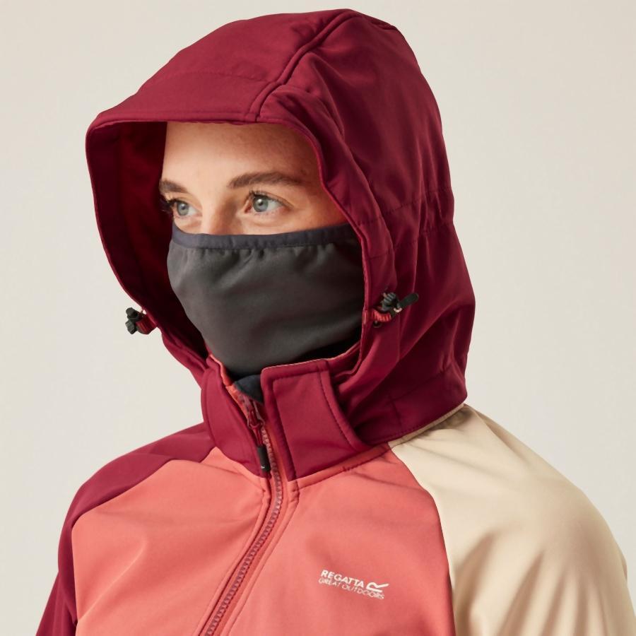 Veste à capuche softshell femme Regatta Desoto X 6/7