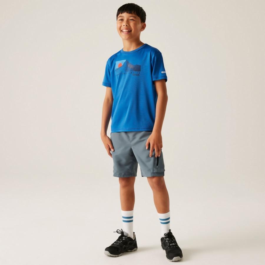 Camiseta infantil Regatta Alvarado IX 2/7