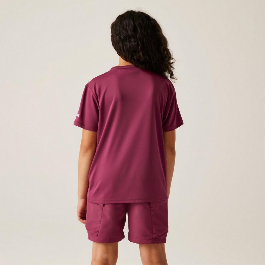 Camiseta infantil Regatta Alvarado IX 3/4