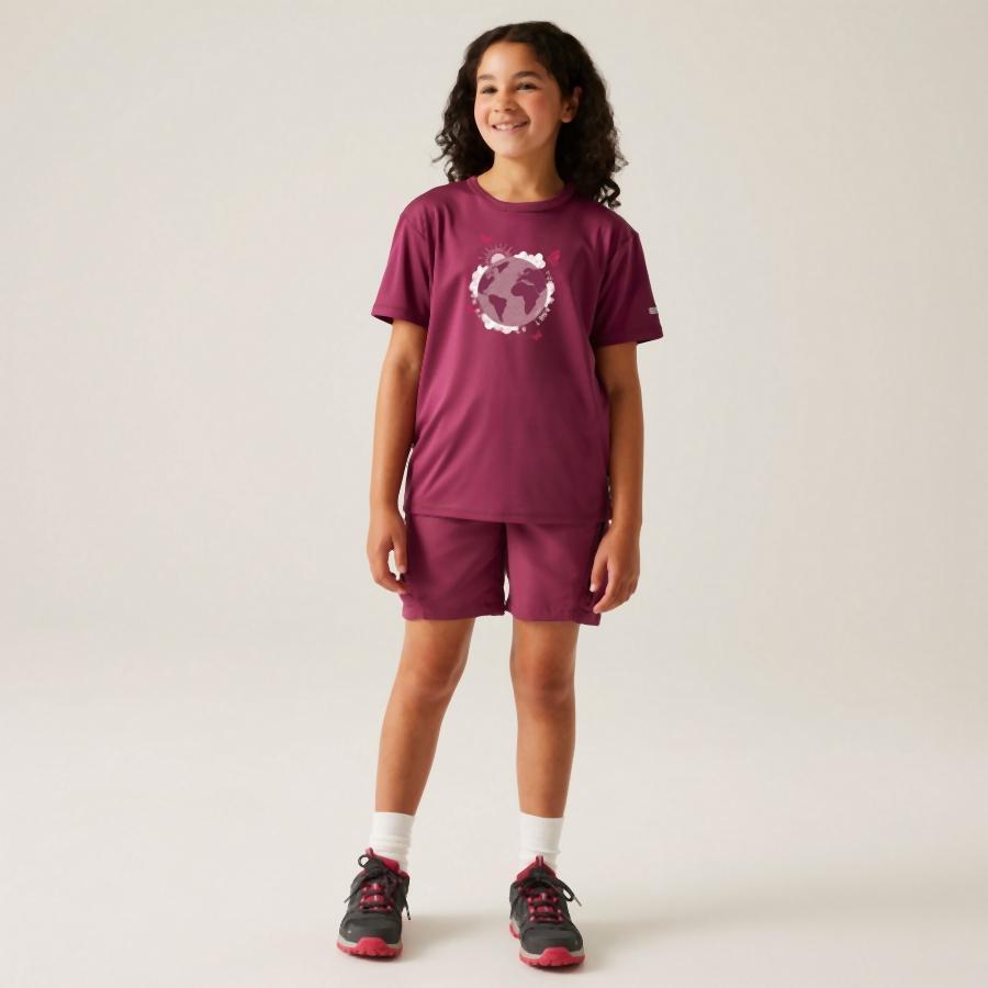 Camiseta infantil Regatta Alvarado IX 2/4