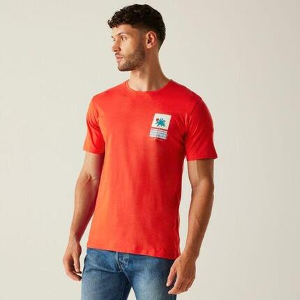 Herren-T-Shirt Regatta ClineIX
