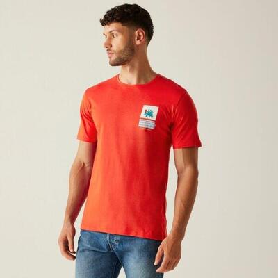 Regatta regatta t-shirts clineix heren popyrdclsumr