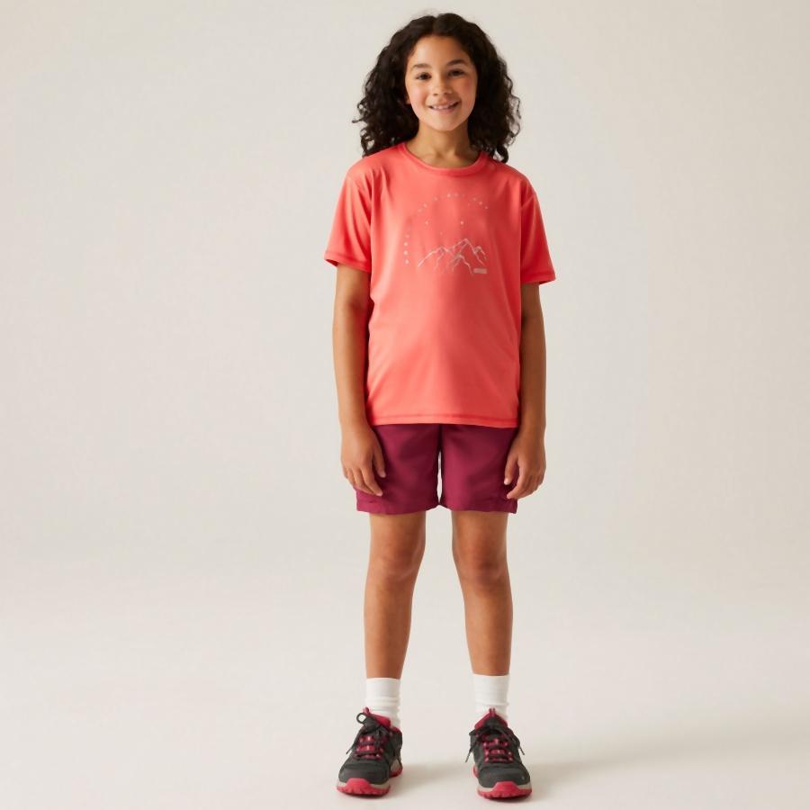 T-shirt per bambini Regatta Alvarado IX 2/7