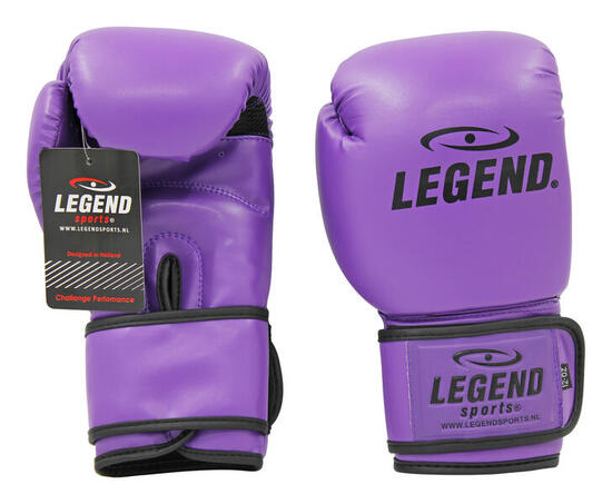 Powerfit & Protect Gants de Boxe Homme/Femme Violet PU