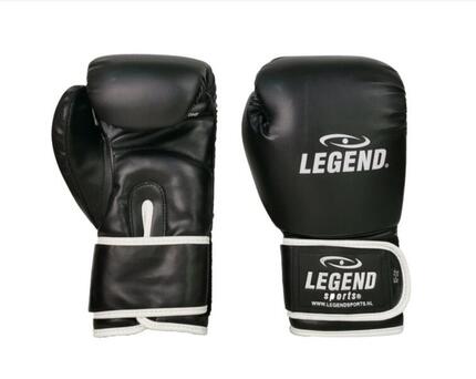 Powerfit & Protect Gants de Boxe Homme/Femme Blanc PU