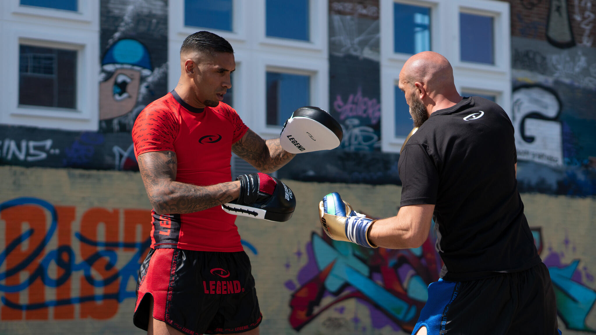 Bersagli allenamento pugilato 2/6