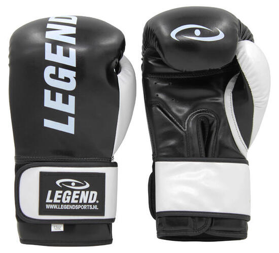 Gants de boxe Legend Impact Protect noir/blanc